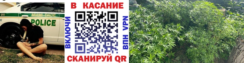 Купить наркотик аптеки Шагонар КОКАИН МЕФ ГАШИШ Канабис