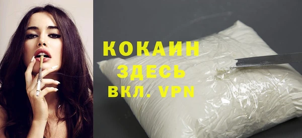дурь Краснослободск