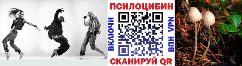 Галлюциногенные грибы мицелий  blacksprut маркетплейс  Шагонар 